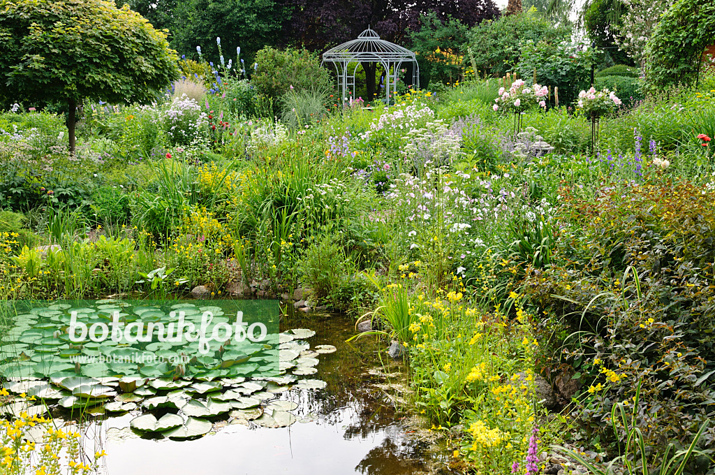 486020 - Garden pond in a rich flowering garden with pavilion