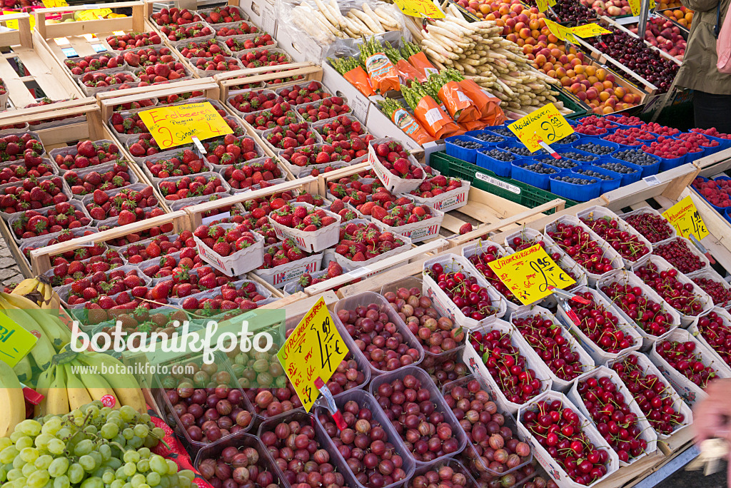 545151 - Garden strawberry (Fragaria x ananassa), gooseberries (Ribes uva-crispa) and sour cherrys (Prunus cerasus)
