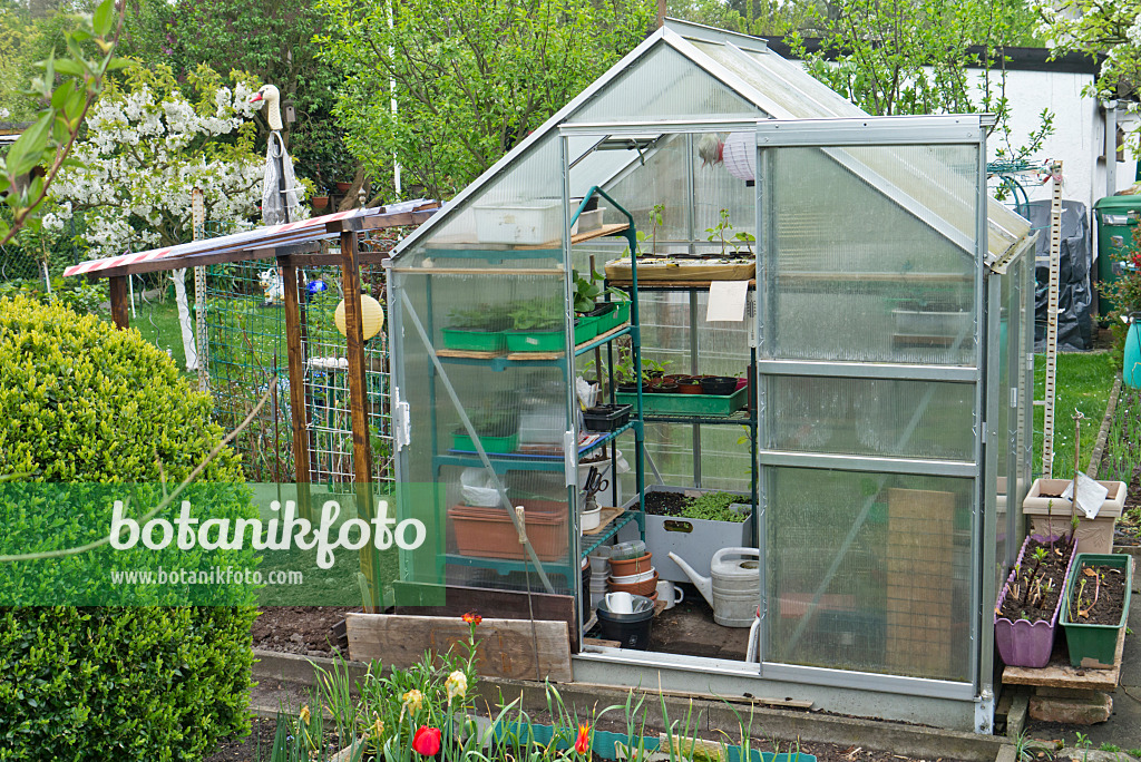 543056 - Greenhouse in an allotment garden