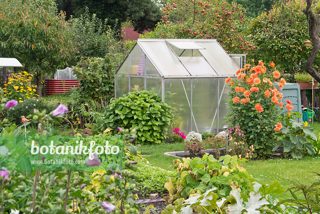 573075 - Greenhouse in an allotment garden