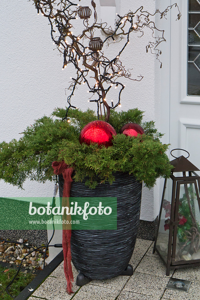 527029 - Hauseingang mit Weihnachtsdekoration