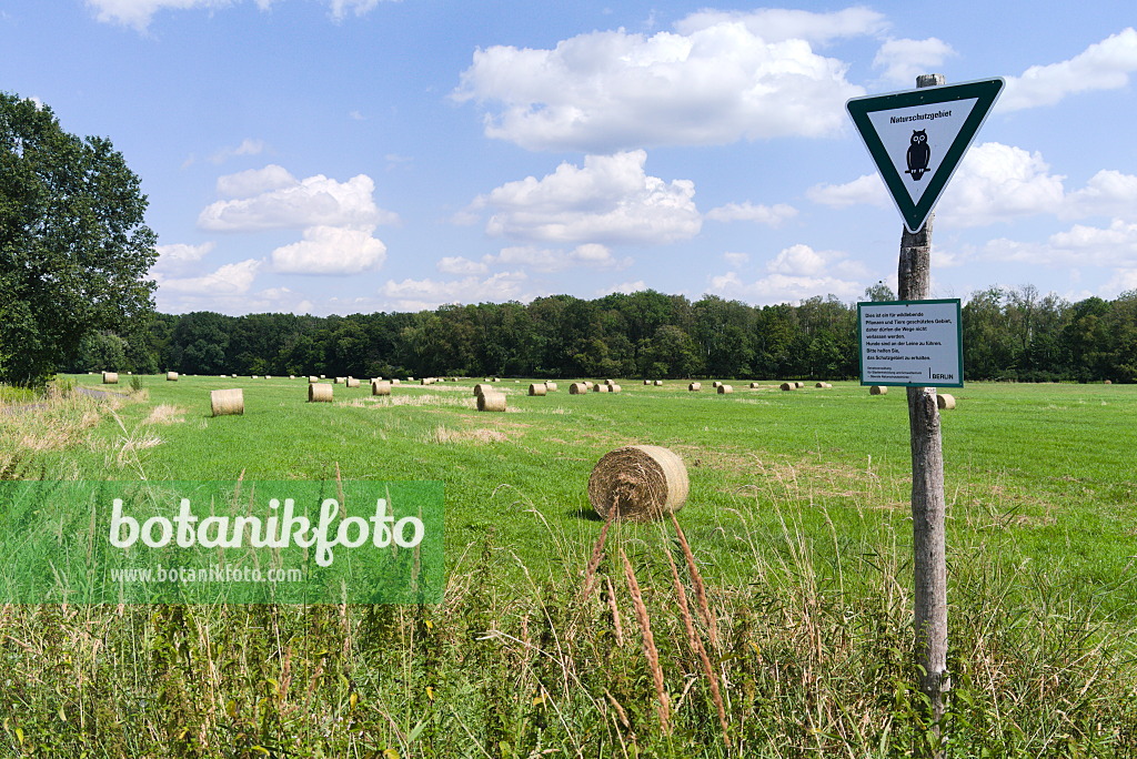 671016 - Hay bales on a mown meadow