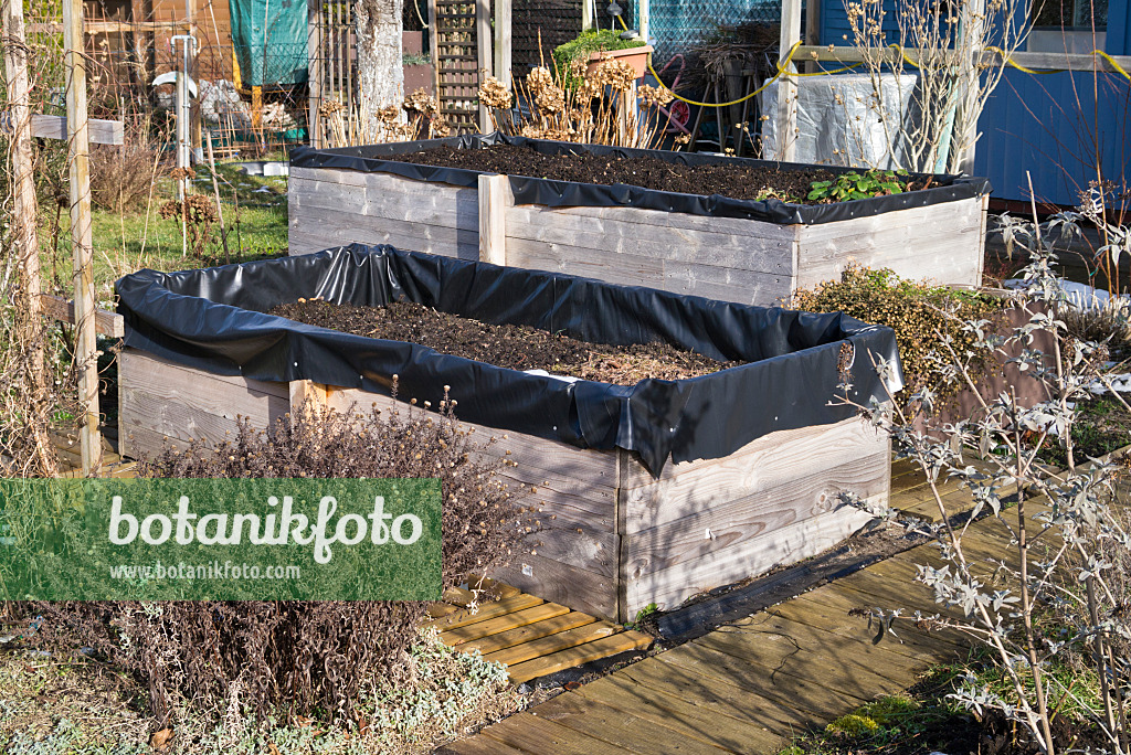 529071 - High beds with black foil in a small winter allotment garden