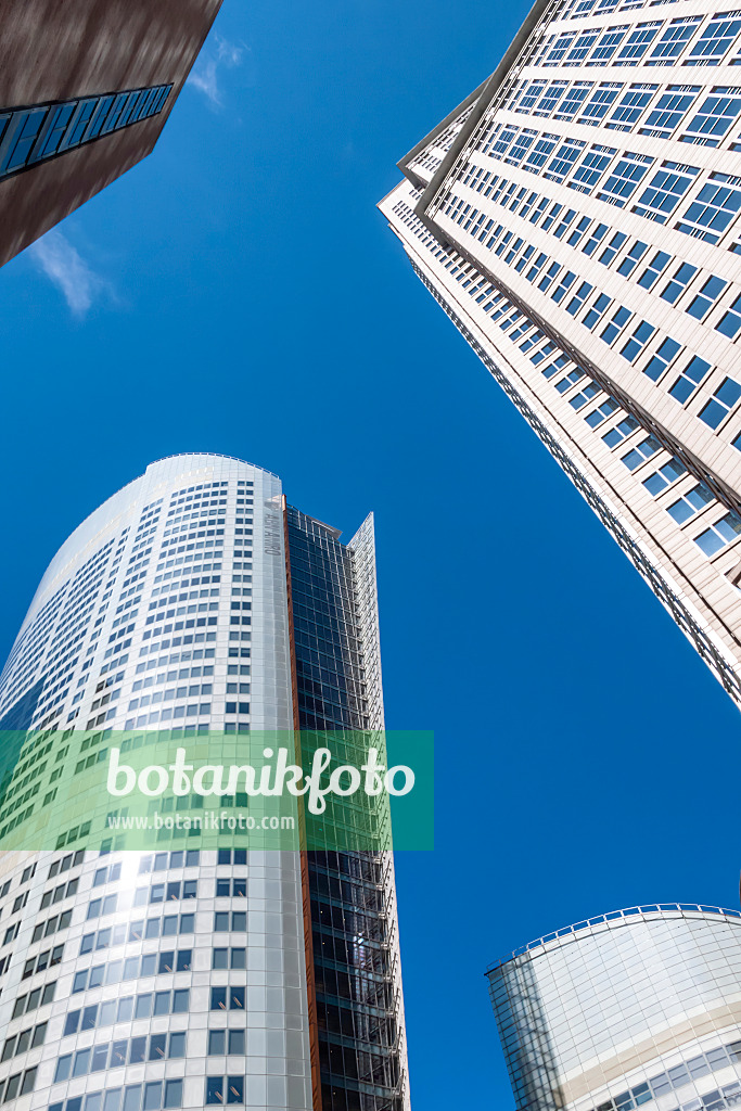 454210 - High-rise buildings on Chifley Square, Sydney, Australia