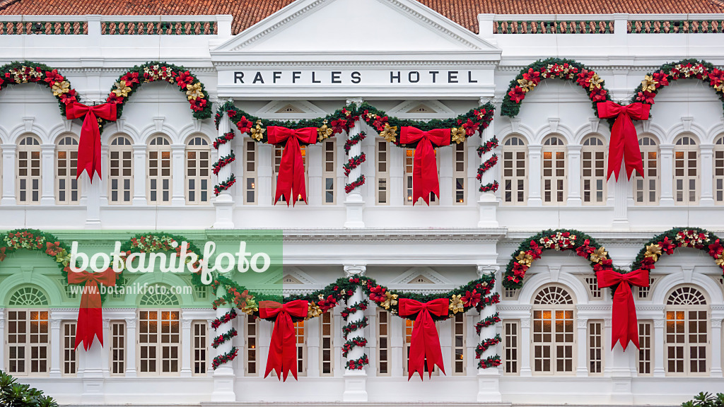 455421 - Hôtel Raffles avec décorations de Noël, Singapour