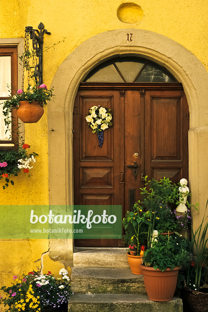 378142 - House entrance with potted plants