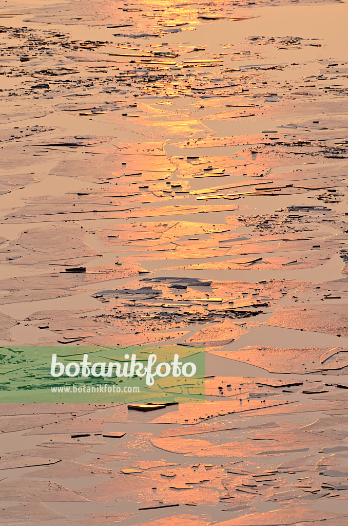 565009 - Ice floes in sunset light