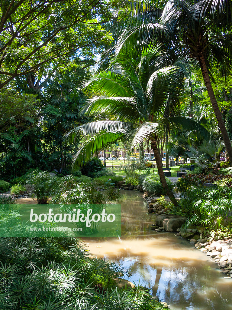 411093 - Istana Park, Singapore