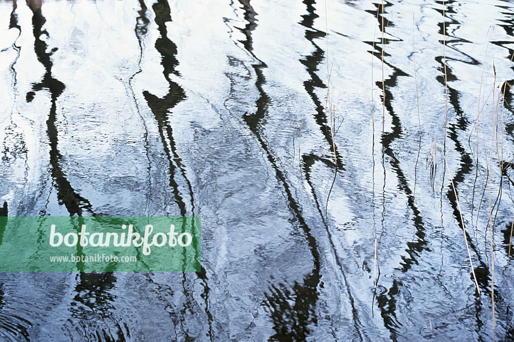 364002 - Jagged reflections in slightly moved water