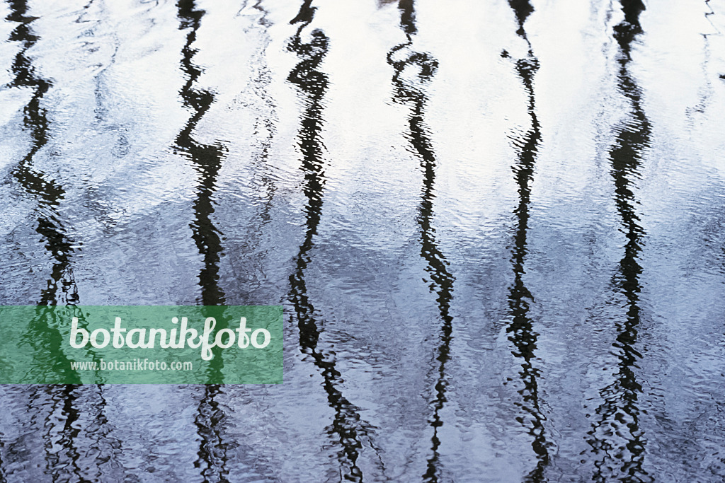 364003 - Jagged reflections in slightly moved water
