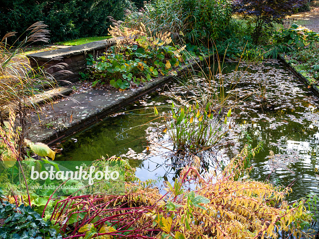 465155 - Jardin d'eau, Stadtpark, Hanovre, Allemagne