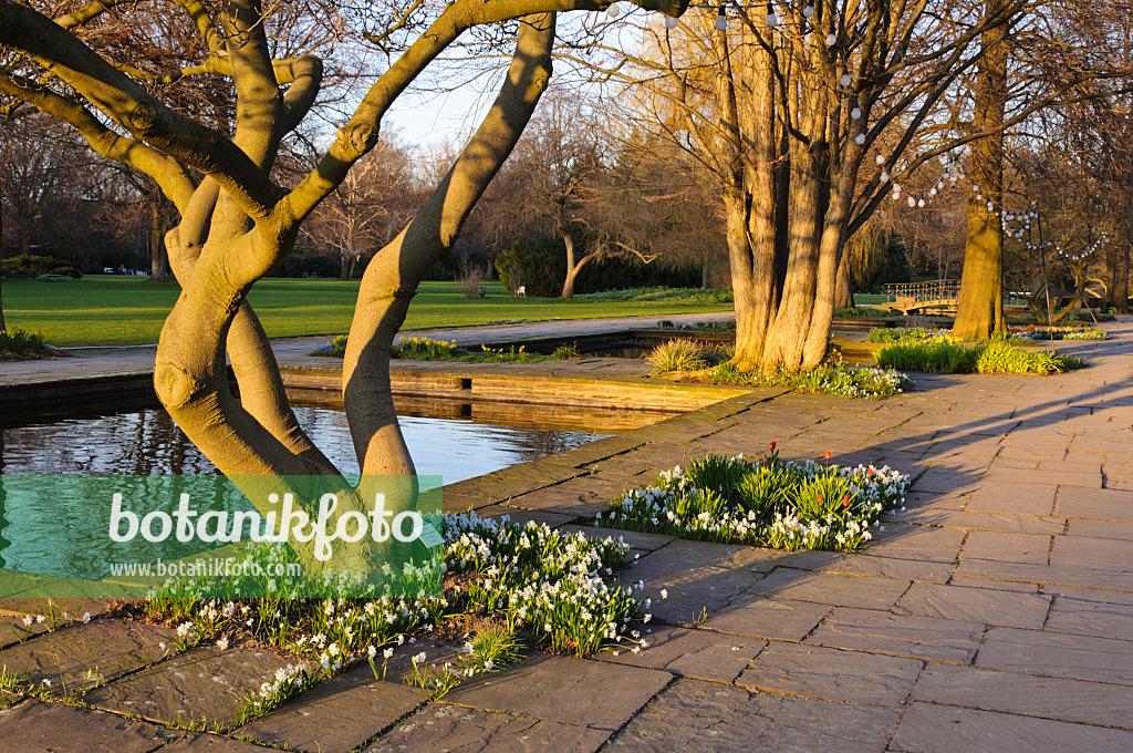 470135 - Jardin d'eau, Stadtpark, Hanovre, Allemagne