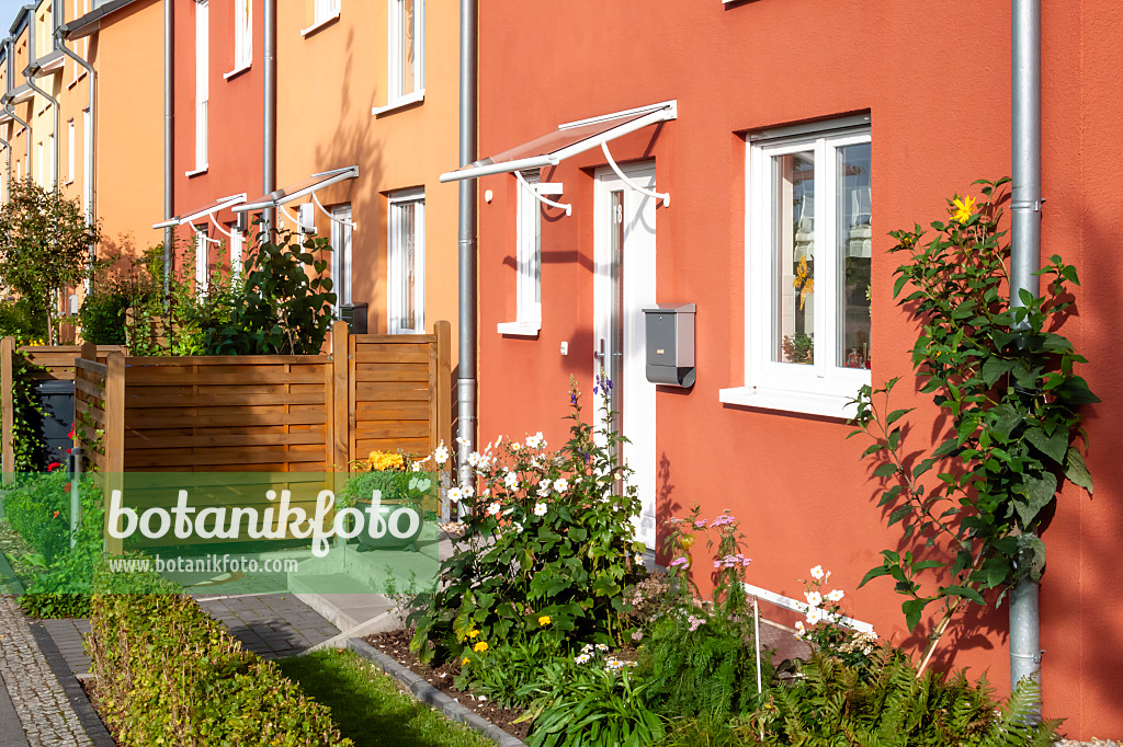 464041 - Jardin de devant d'un lotissement de maisons mitoyennes
