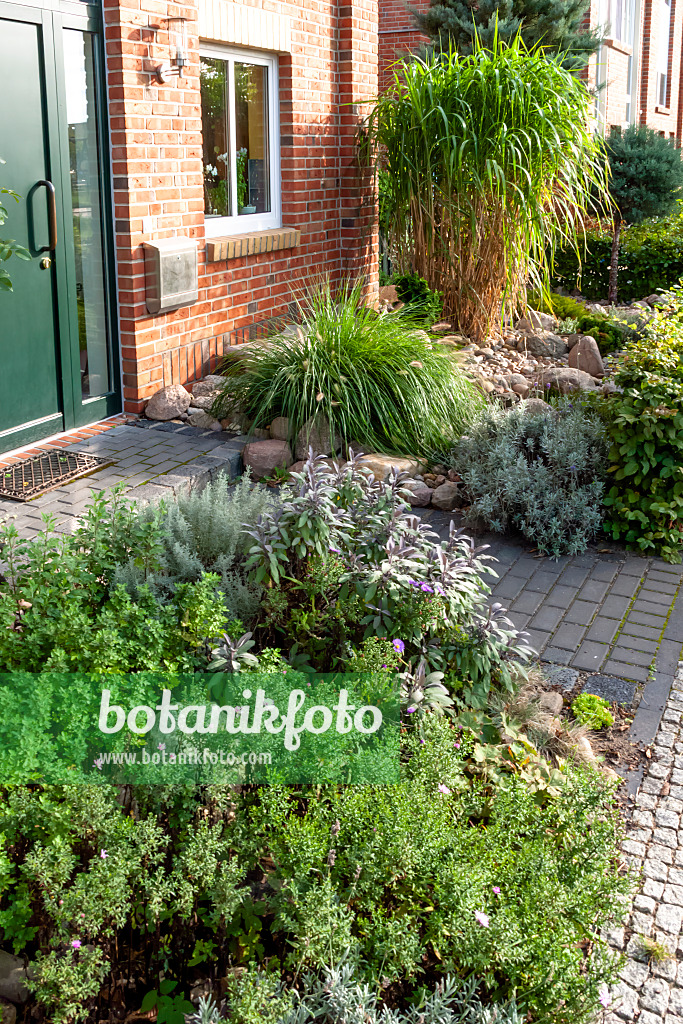 464043 - Jardin de devant d'un lotissement de maisons mitoyennes