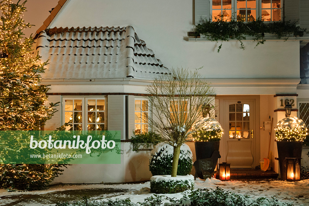 483054 - Jardin de devant décoré pour Noël