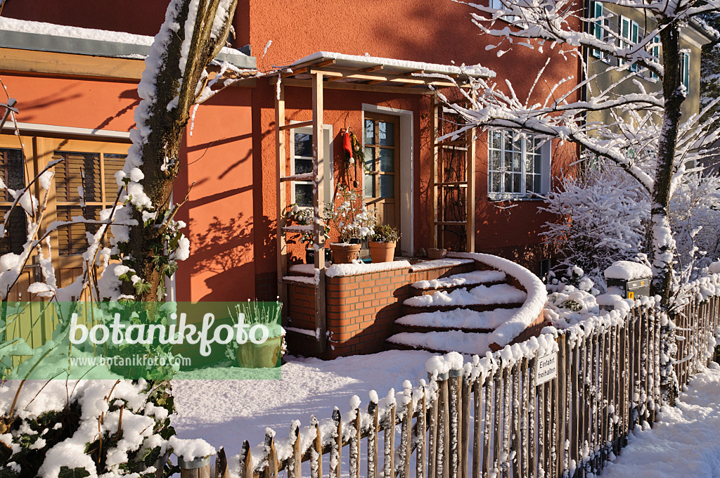 468006 - Jardin de devant en hiver
