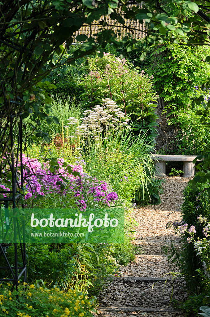 570099 - Jardin de plantes vivaces avec banc en pierre