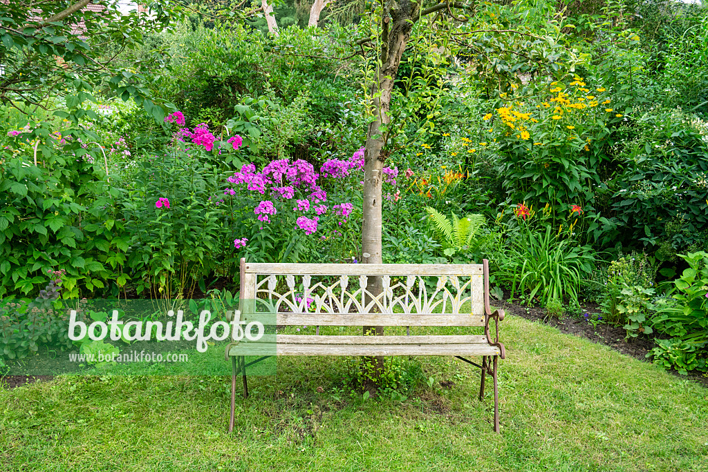 625044 - Jardin de plantes vivaces avec un banc de jardin