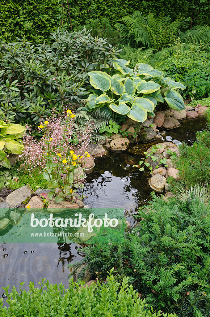 473089 - Jardin de plantes vivaces avec un ruisseau
