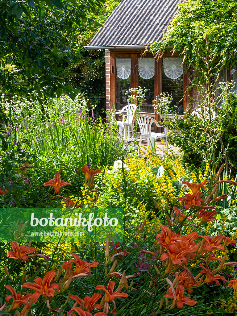 449032 - Jardin familial