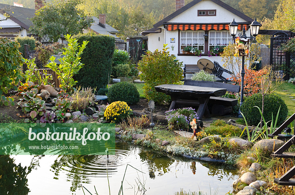 477173 - Jardin familial d'automne avec étang de jardin