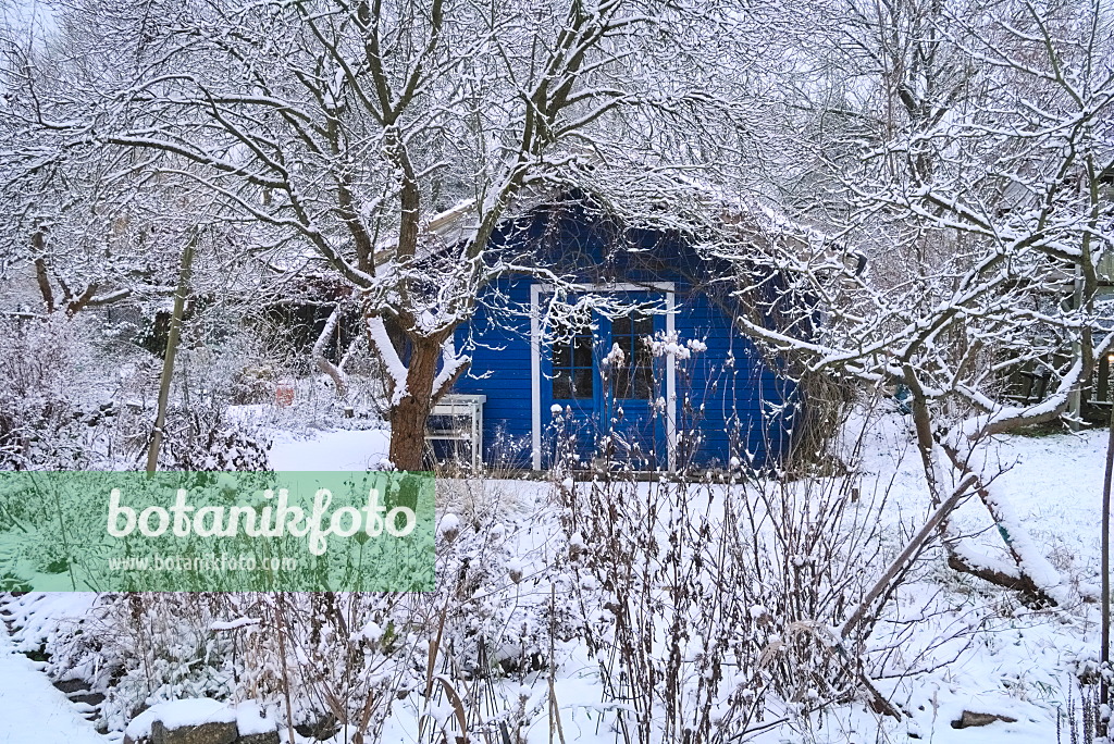 670003 - Jardin naturel en hiver