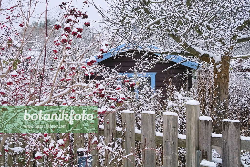 670004 - Jardin naturel en hiver