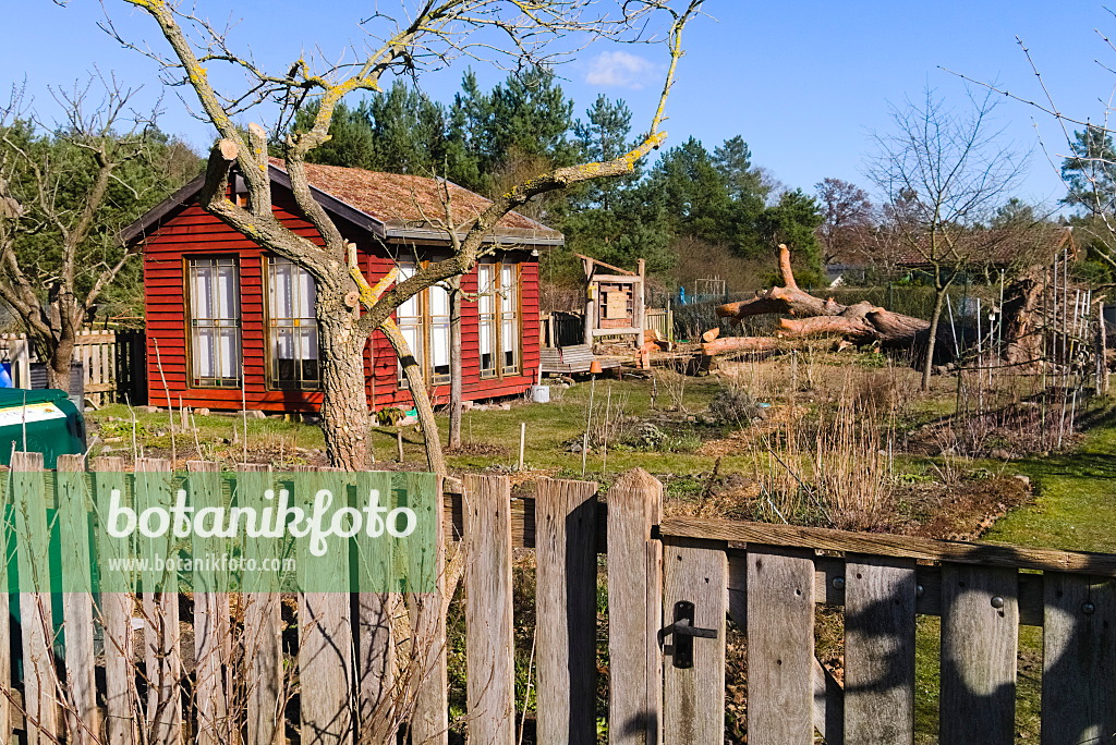 670026 - Jardin naturel en hiver