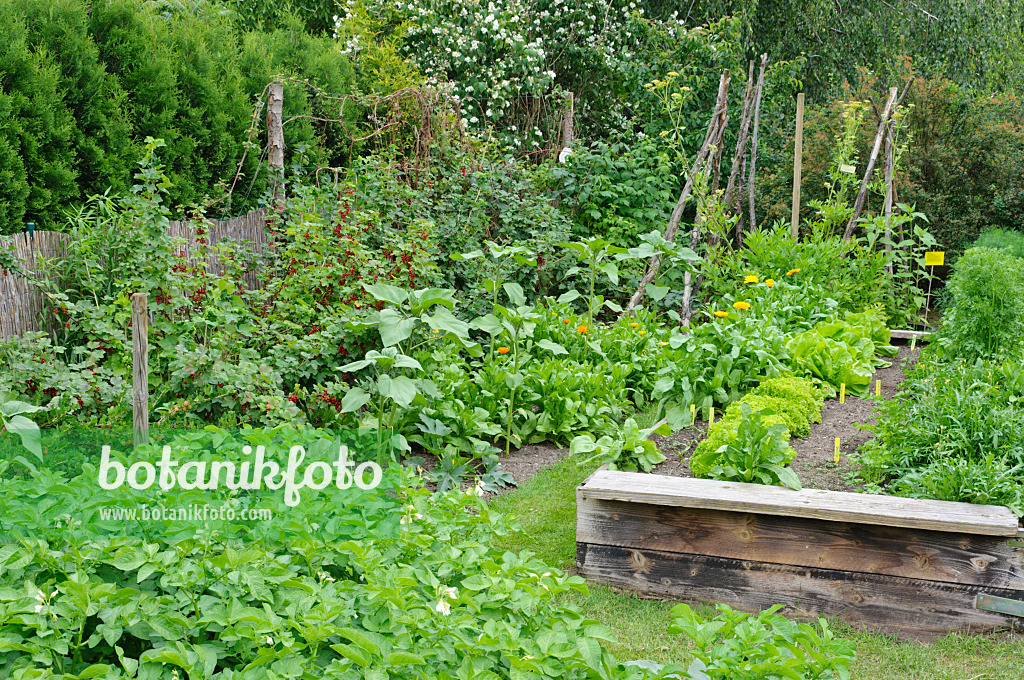473171 - Jardin potager