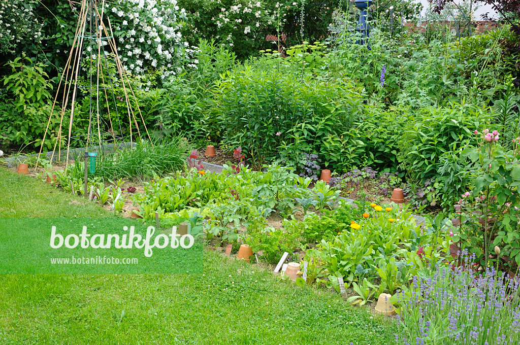 473172 - Jardin potager