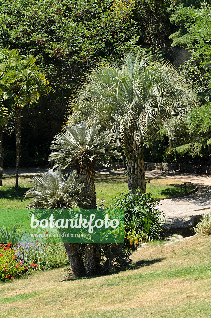 557293 - Jardins de la Fontaine, Nîmes, Frankreich