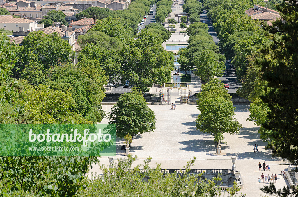 557297 - Jardins de la Fontaine, Nîmes, Frankreich