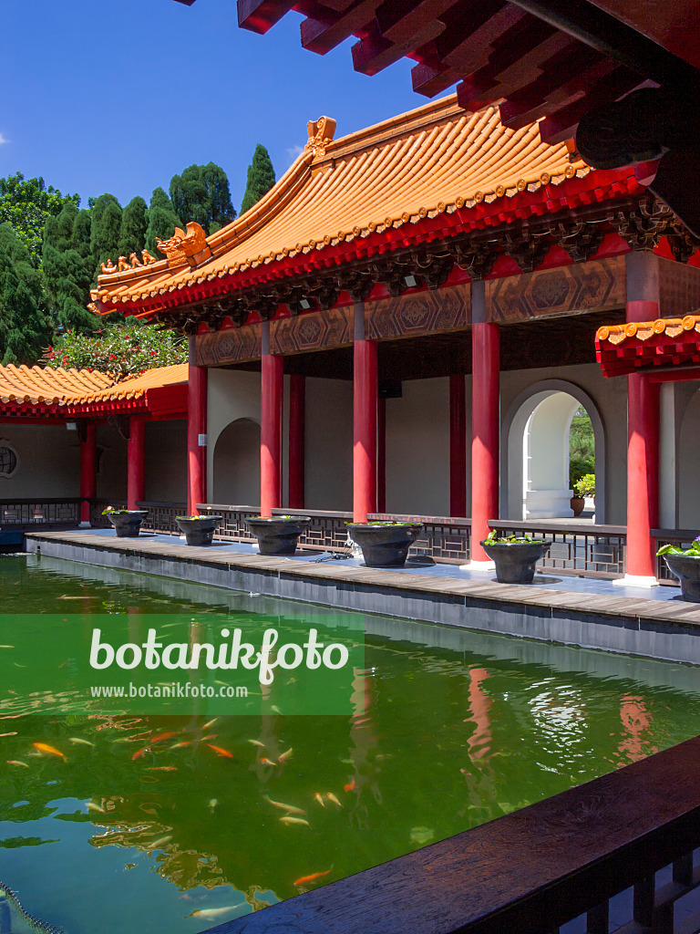 411038 - Koi pond, Chinese Garden, Singapore