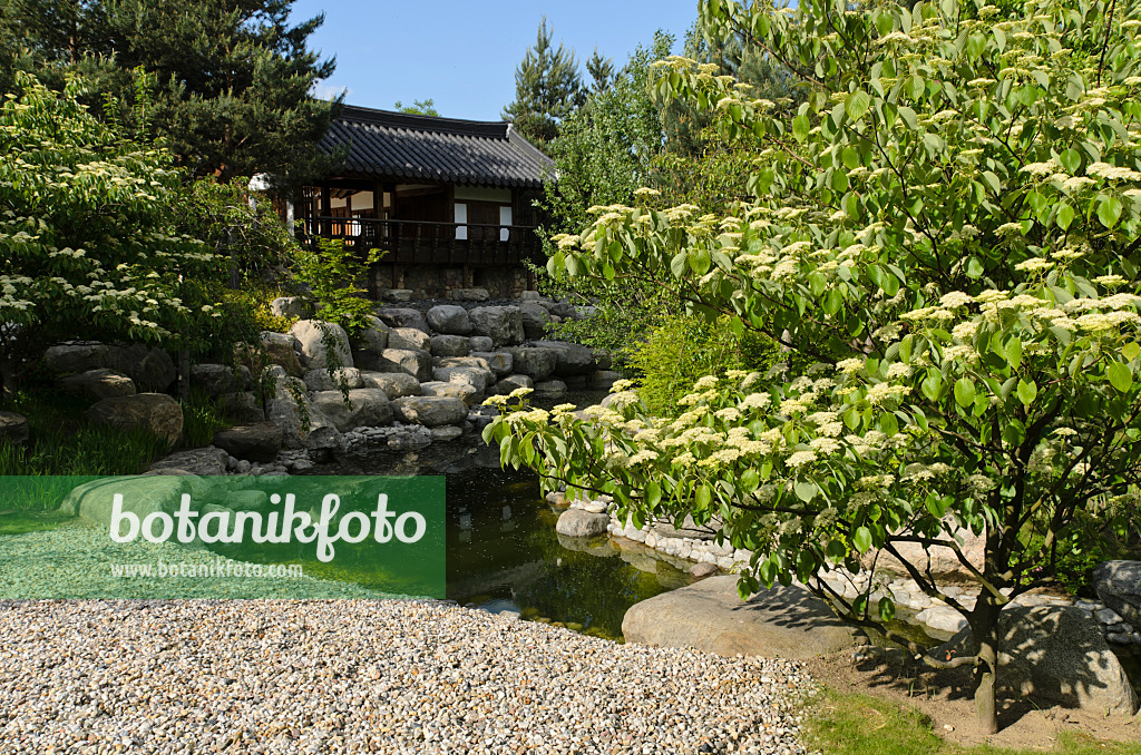 496136 - Korean Garden, Erholungspark Marzahn, Berlin, Germany
