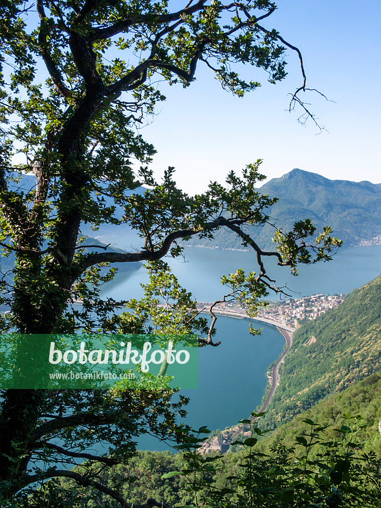 414094 - Lago di Lugano, Schweiz