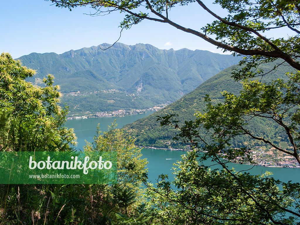414099 - Lago di Lugano, Schweiz