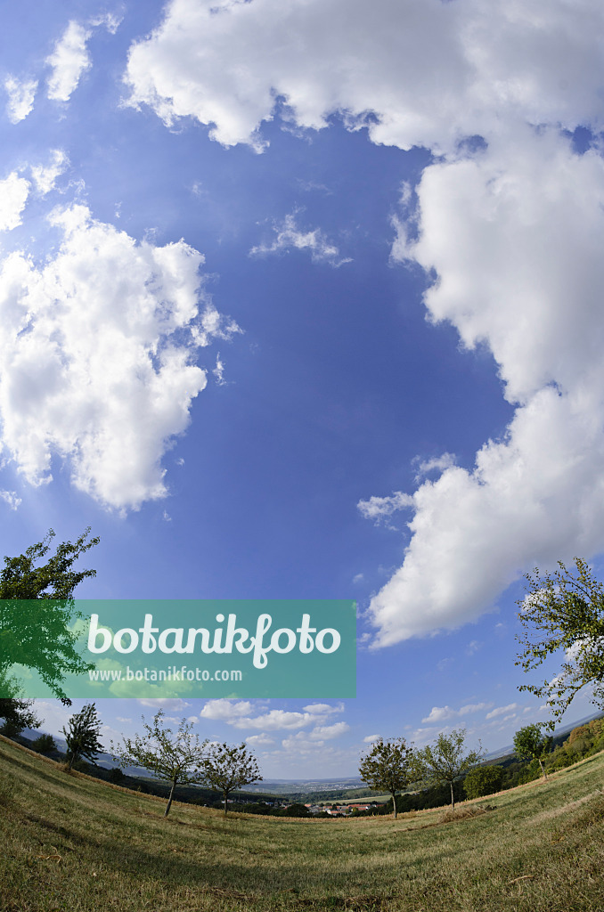 560054 - Landscape with clouds