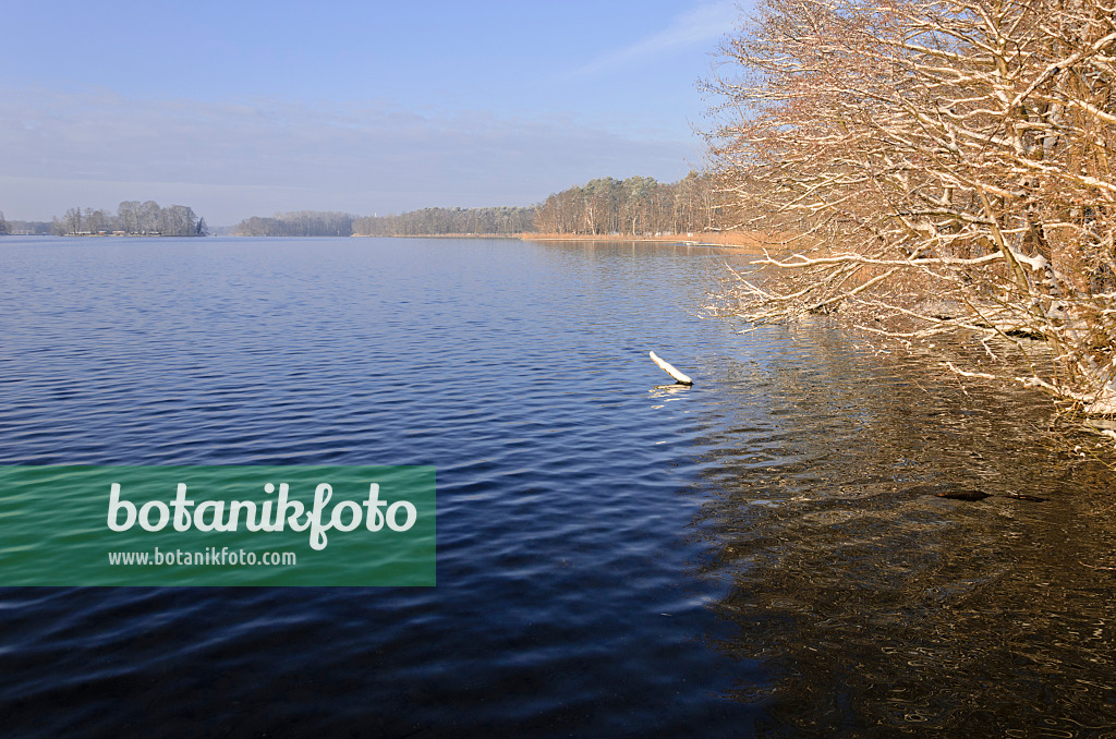 539005 - Langer See, Berlin, Allemagne