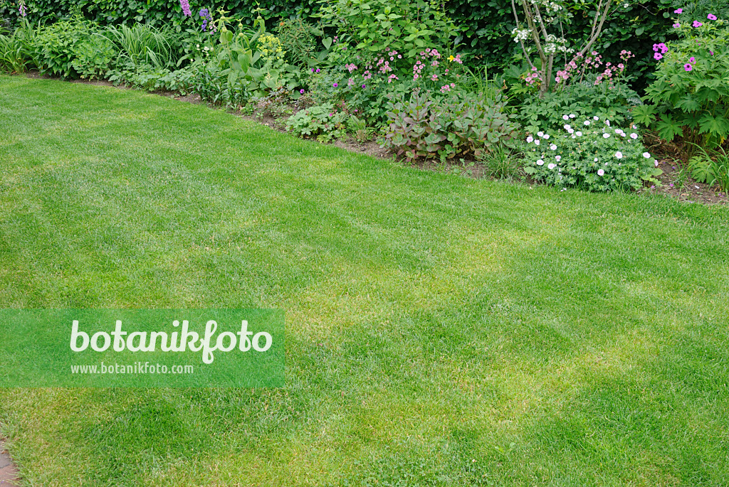 518040 - Lawn with yellow stripes caused by non-uniform fertilisation