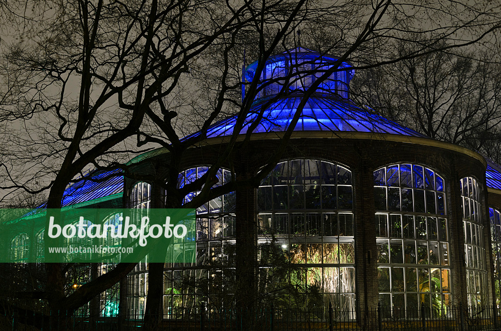 564001 - Lighted greenhouse at Illuminade, Amsterdam, Netherlands