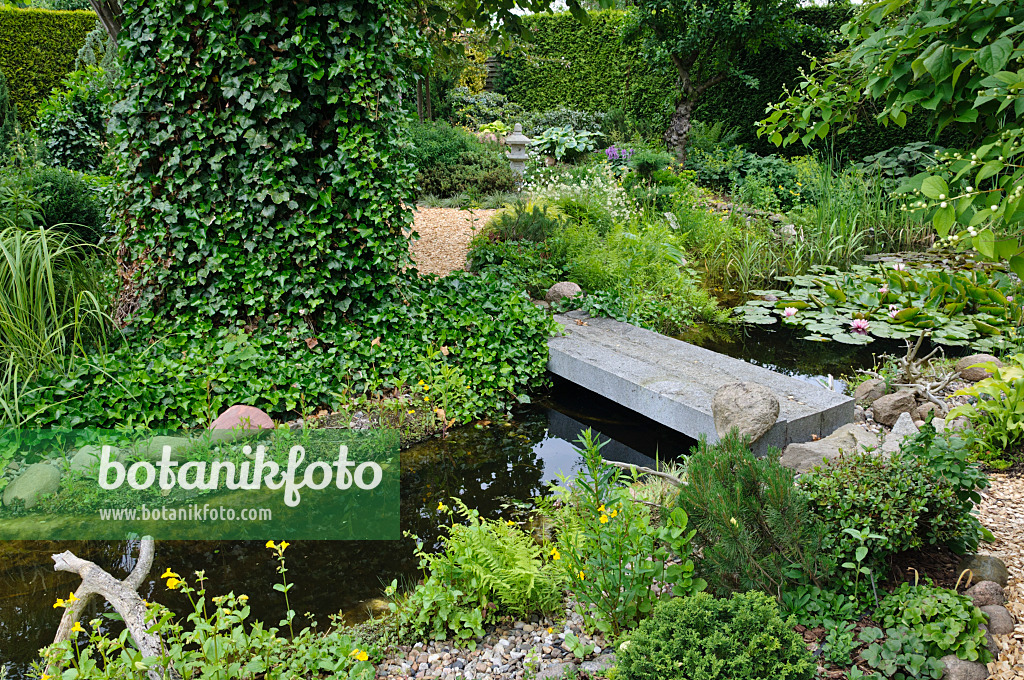 473086 - Lily pond with stone bridge in an idyllic garden