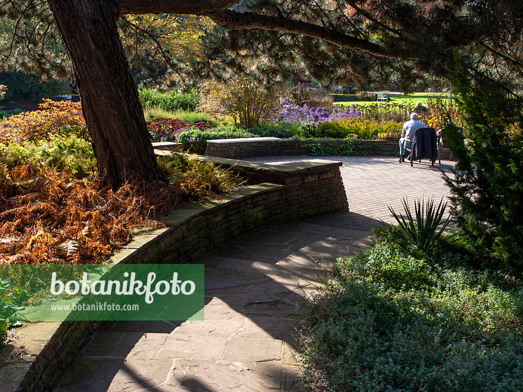 465176 - Long shades on the terrace with a view of the flowering park, Stadtpark, Hanover, Germany