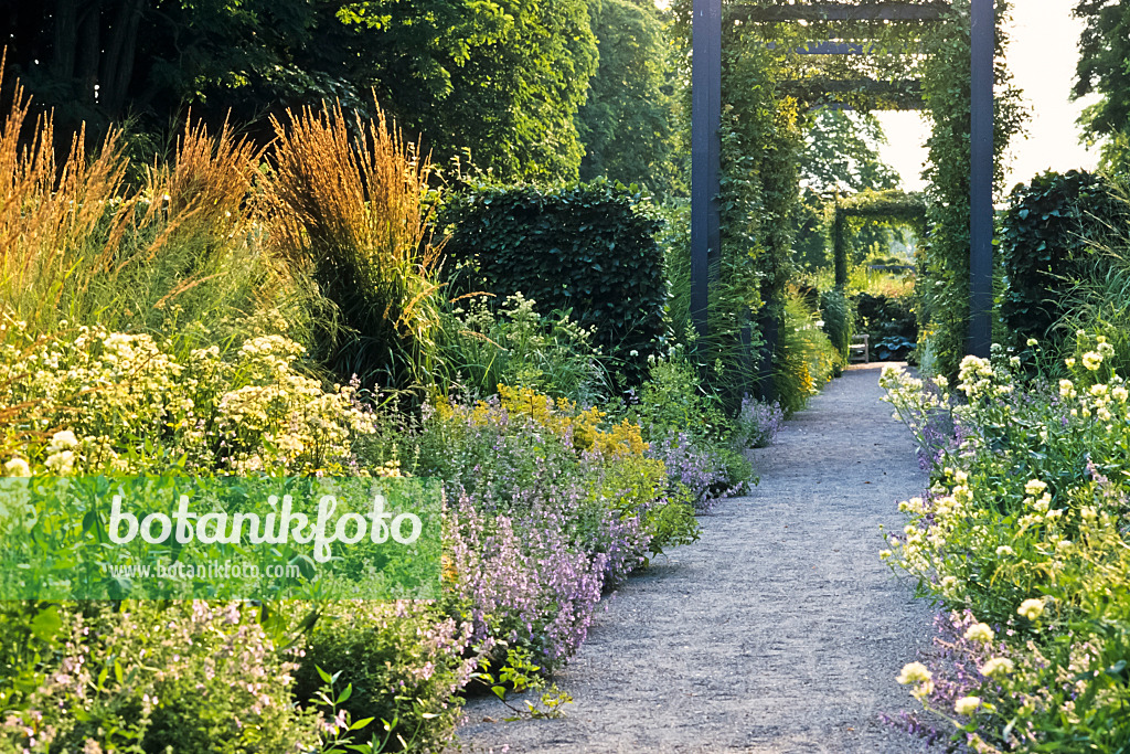 380094 - Lush flowering perennial garden with several pergolas