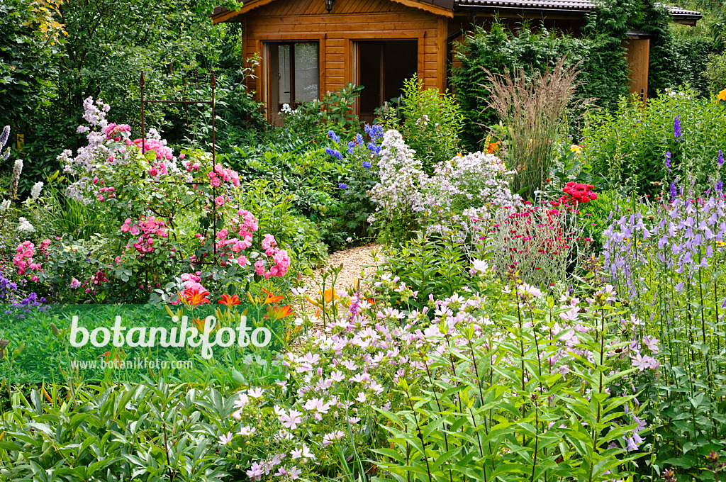 474157 - Maison en bois dans un jardin de vivaces richement fleuri