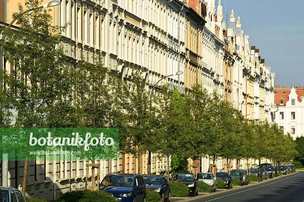 559062 - Maisons d'habitation, Görlitz, Allemagne