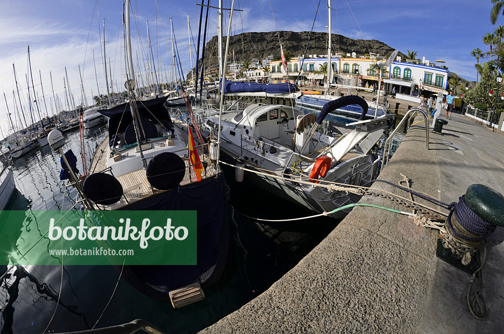 564115 - Marina, Puerto de Mogán, Gran Canaria, Espagne