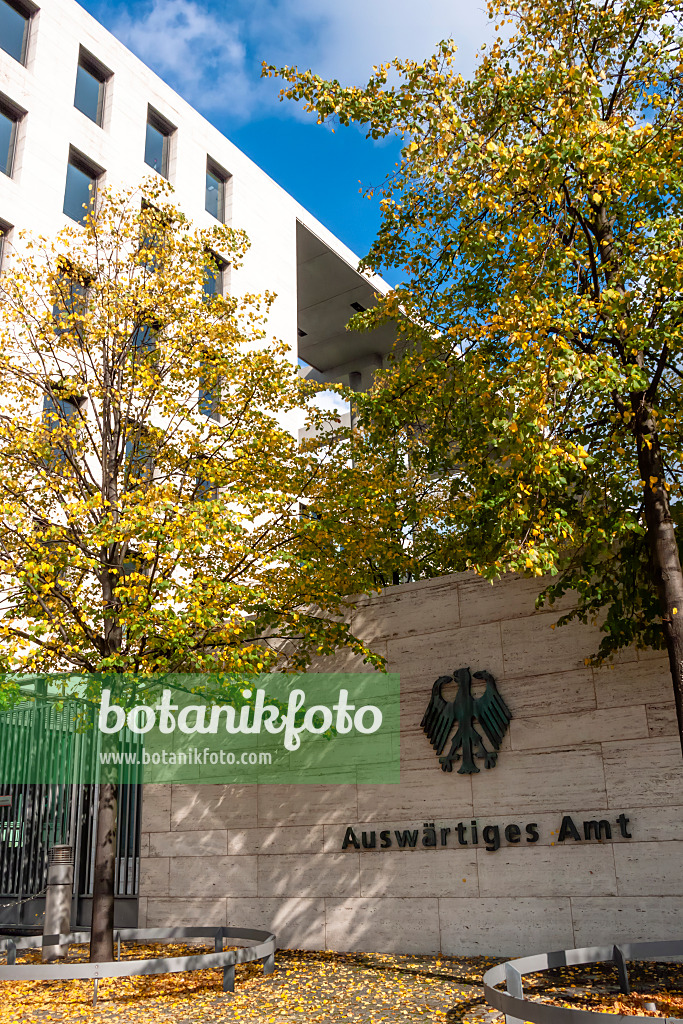 453031 - Ministère des Affaires étrangères, Berlin, Allemagne