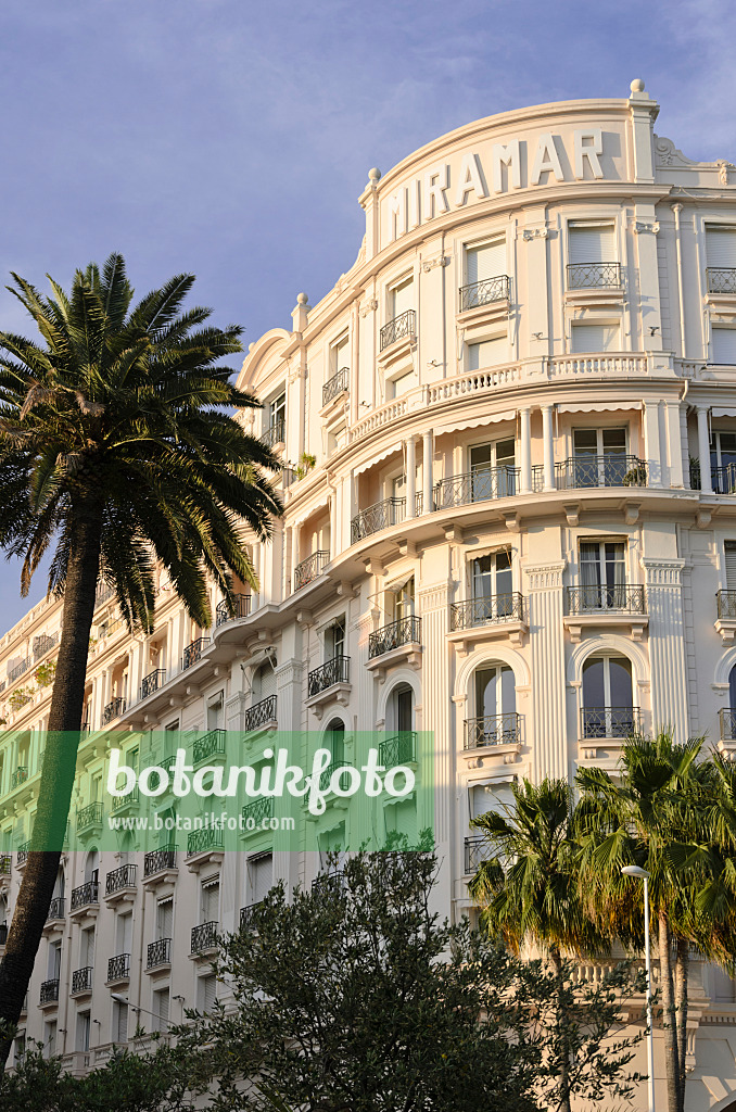 569022 - Miramar Hotel, Cannes, France