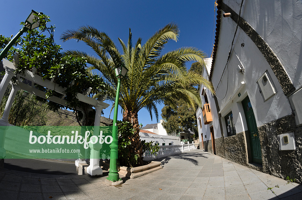 564080 - Mogán, Gran Canaria, Espagne