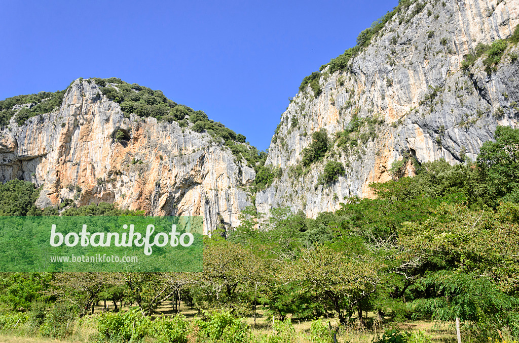 557222 - Montagne de l'Ardèche, France